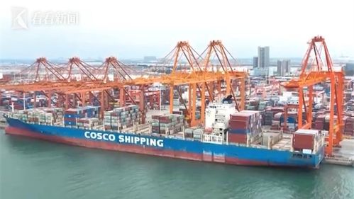 今年前8個月我國貨物貿易與技術進出口實現雙增長